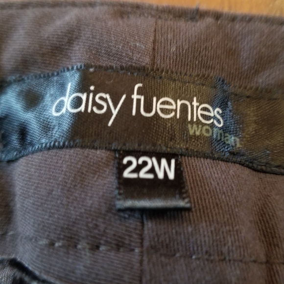 Daisy Fuentes Pleated Pants - Picture 3 of 4